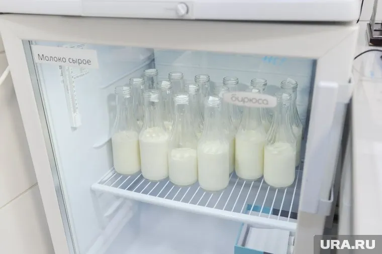 Челябинские заводы торговали неучтенным молоком