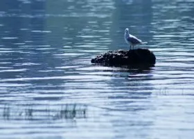 Фотография из галереи