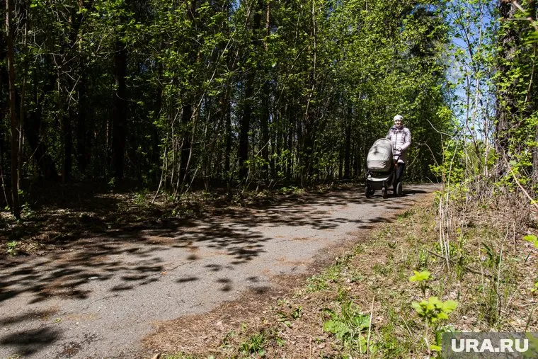 На лесопарк "Затюменский" потратят 228 миллионов рублей из городского бюджета