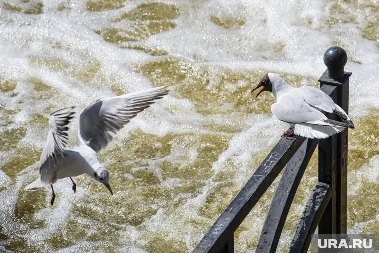 Во Владивостоке объявлено штормовое предупреждение