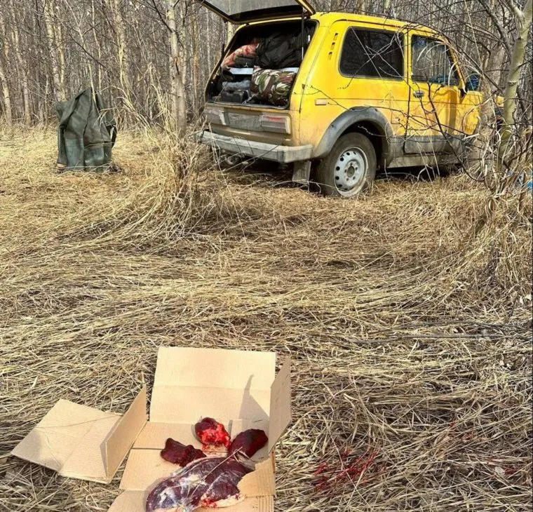 Пятерых охотников за убийство трех лебедей задержали в Октябрьском районе Челябинской области