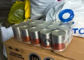 Внучка создателя Кота Леопольда собирает гумпомощь в зону СВО