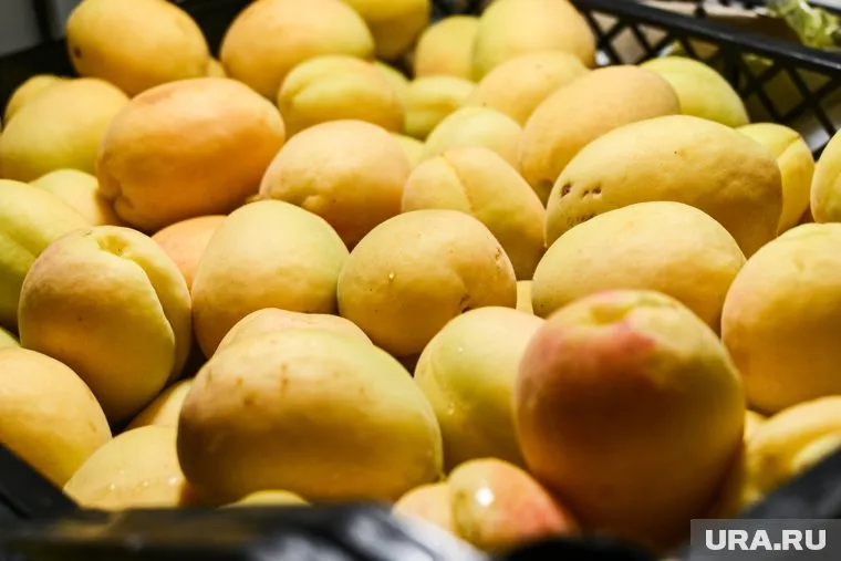 Вредителя Россельхознадзор обнаружил при фитосанитарном контроле