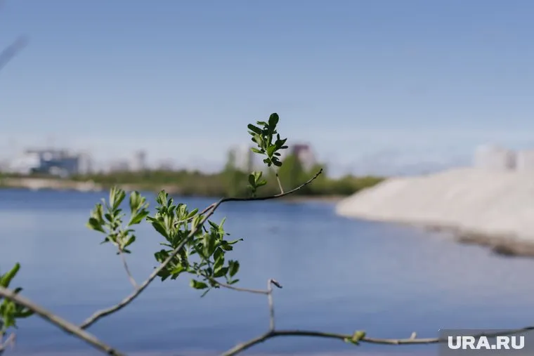Пляж начнет работу уже летом