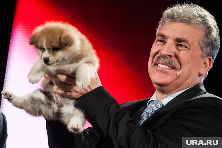 Кандидат живет на две семьи