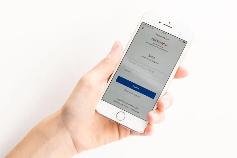 Клипарт Госуслуги. Тюмень