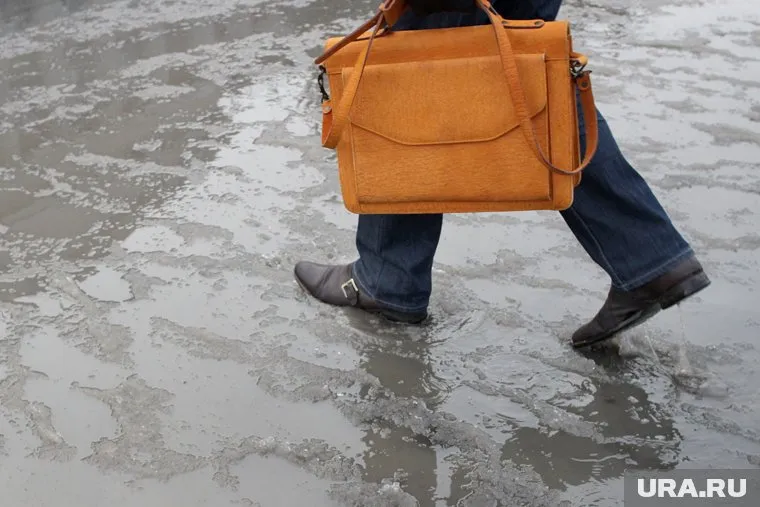 Зима в Челябинской области на несколько дней сменится весной