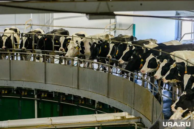 Учесть животных следовало до начала осени