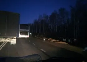 Пострадавшие при ДТП под Ярославлем свердловчане были победителями школьных олимпиад