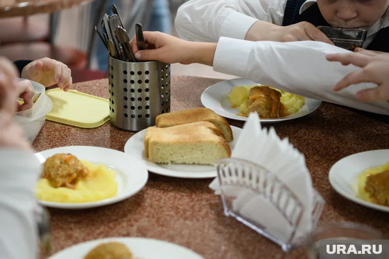 Малышам не нравится вид и вкус рыбы в столовой