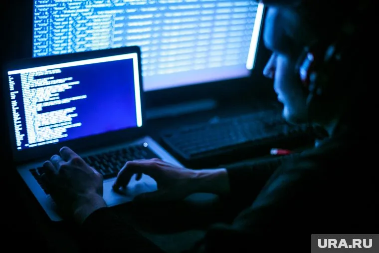 IT-специалисты будут востребованы еще долгие годы