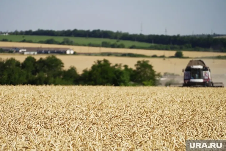 Курганское агропредприятие в четыре раза увеличило чистую прибыль