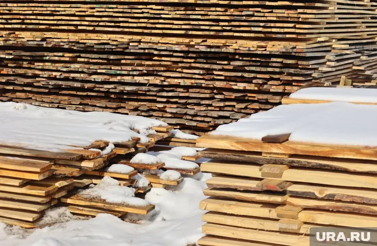 В Кургане будут судить группу бизнесменов по делу о поставках древесины на оборонный завод