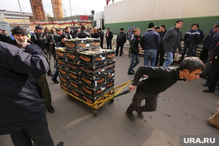 Овощебаза оказалась крупным налоговым должником