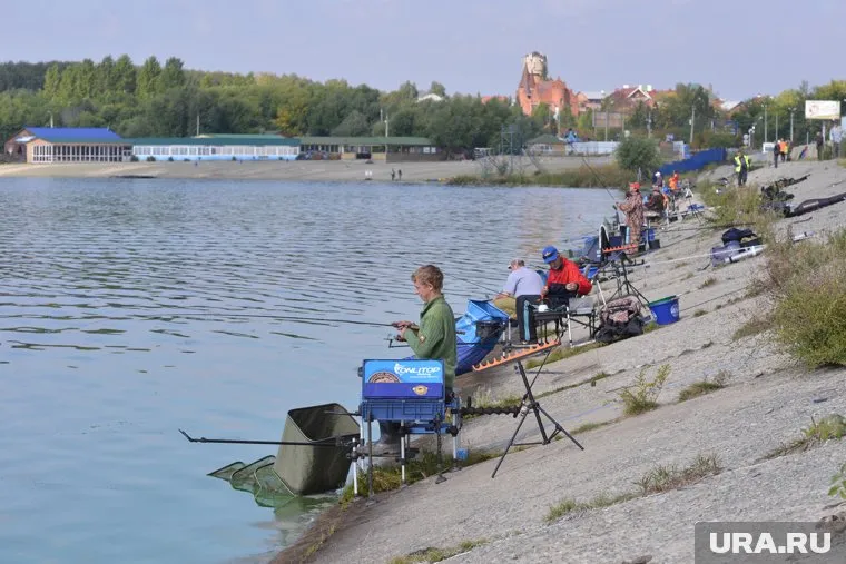 С появлением нового сервиса рыбакам станет проще выбирать даты для занятия любимым делом