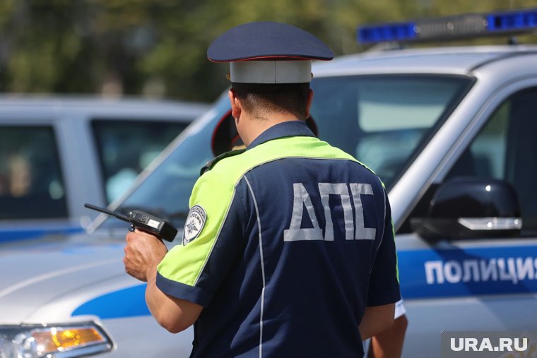 Десятки ДТП в Кургане и махинации с автостраховками: в чем обвиняют арестованных сестер Камшиловых