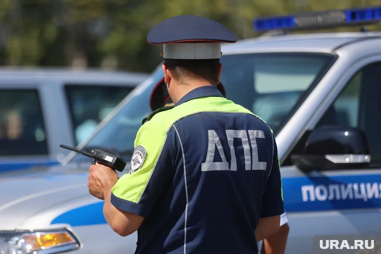 Обвиняемые в автоподставах сестры Камшиловы вышли из СИЗО