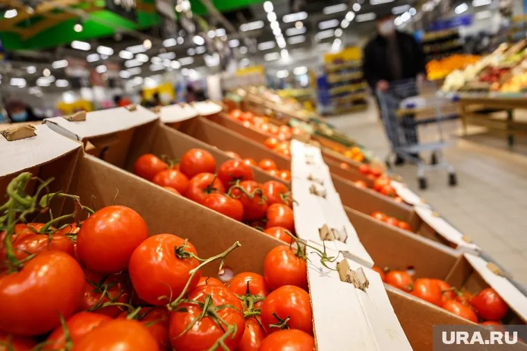 Томат в регионе стал дешевле на 17,7%
