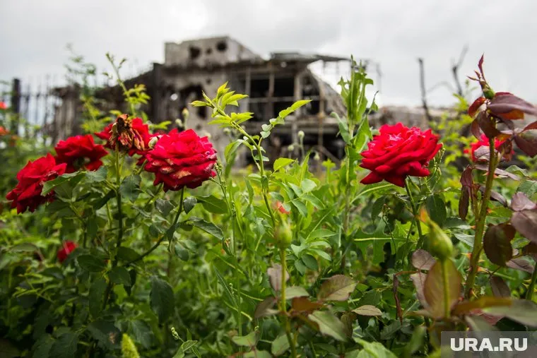 Донецк возвращает себе статус «Города миллиона роз»
