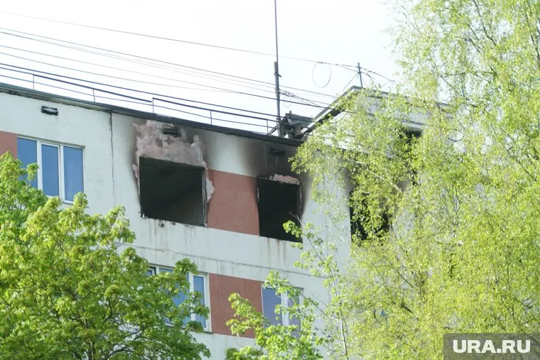 В пожаре погибли домашние животные, люди не пострадали 