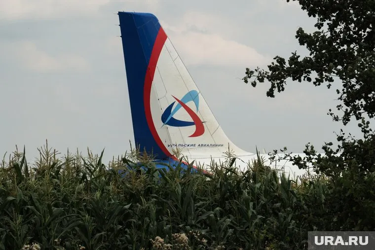 Часть пассажиров из аварийно севшего самолета уже вылетела в Симферополь другим рейсом