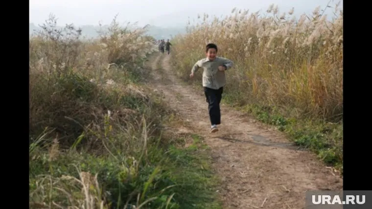 По сюжету фильма, репортер из Пекина едет в провинцию делать сюжет о редкой птице