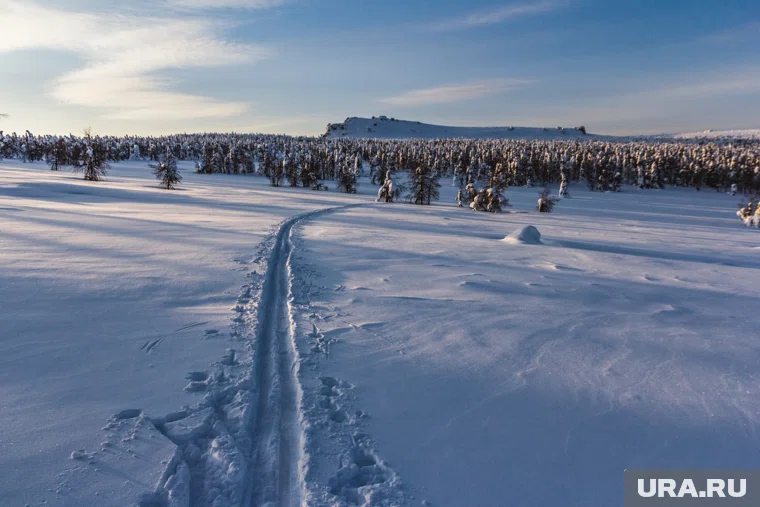 Группа отправилась в поездку на 12 снегоходах
