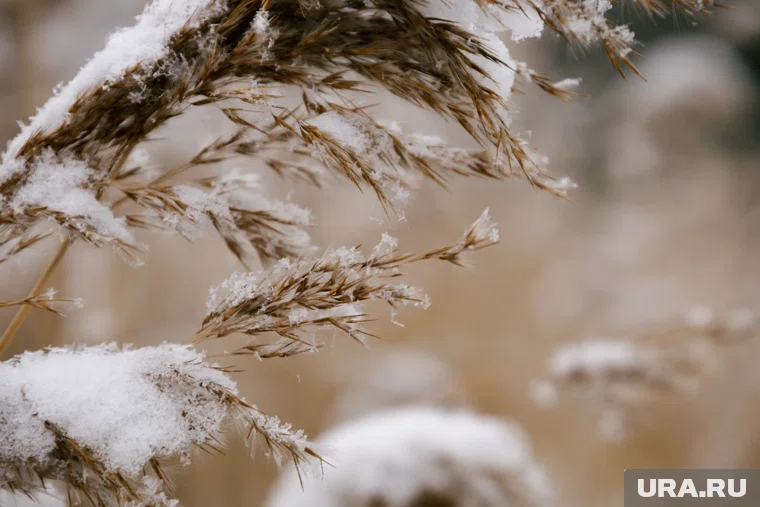 Фронт принесет в Свердловскую область дождь переходящий в снег