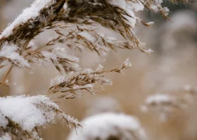 Морозная ночь ждет свердловчан