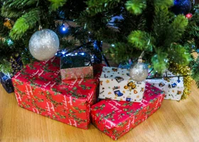 Куклы, сладости и мандарины: о каких новогодних подарках мечтали курганские политики