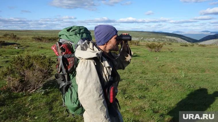 Туристу приходилось высматривать мишек, чтобы избежать встреч с ними