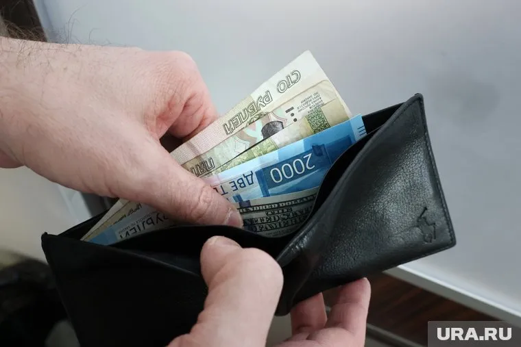 В правительстве РФ обсуждают введение новых выплат