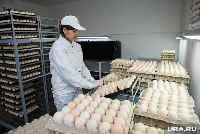 Карантин на птицефабрике продлился без малого месяц