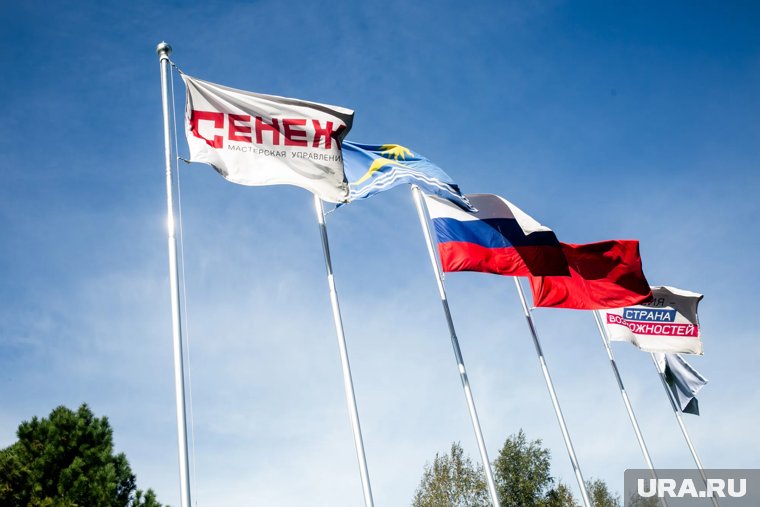 Российские студенты ИТ-сферы пройдут обучение в «Сенеже»