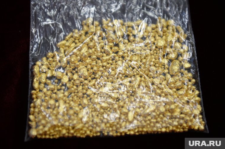 Шеф полиции Невьянска попал под удар после скандала с добычей золота