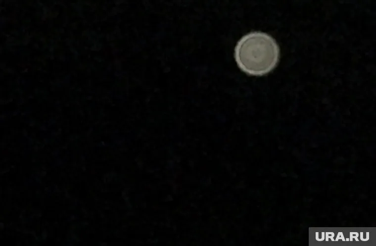 По словам местного жителя — их видят многие гости и работники туристической базы в Березовском районе