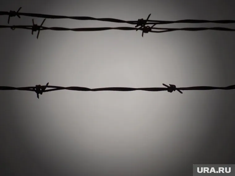 В заключении Севастиди провела год