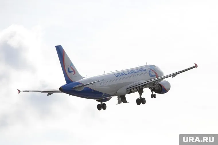 Самолет «Уральских авиалиний» приземлился на кукурузном поле в 2019 году