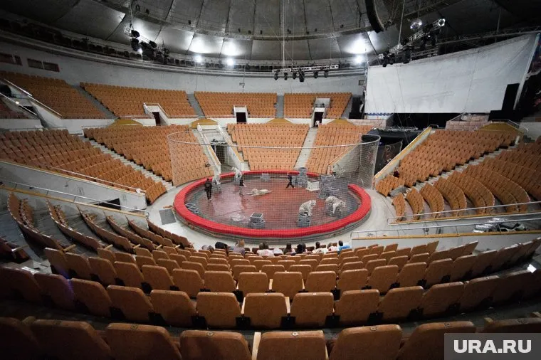 Известная дрессировщица рассказала о неприглядной изнанке цирка