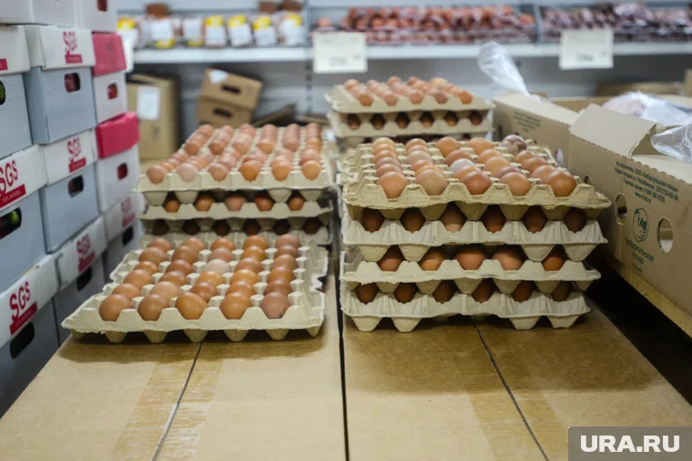 Лидерами по снижению цен на продукты оказались куриные яйца