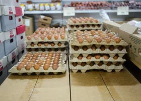 Рост и снижение цен на продукты и услуги в ЯНАО осенью: что подешевело заметнее всего