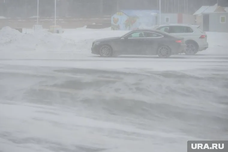 Порывы ветра будут достигать 20 м/с