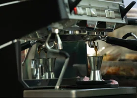 Фотография из галереи