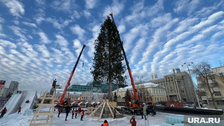 Новогоднюю елку поднимали с помощью специальных тросов