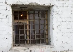 Фотография из галереи