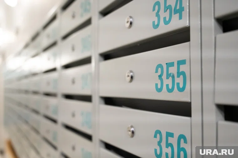 В период удовлетворения иска вводится процедура наблюдения на срок до шести месяцев