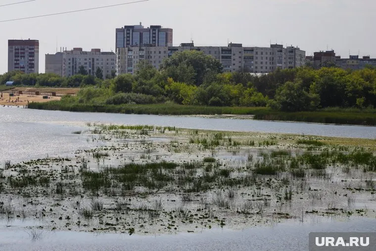 Власти Кургана планируют отремонтировать заброшенную набережную в микрорайоне Энергетики