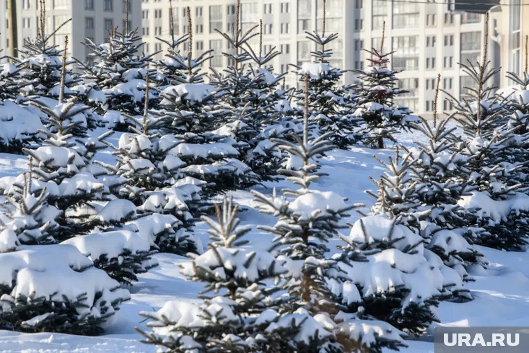 Местами температура опустится ниже -38