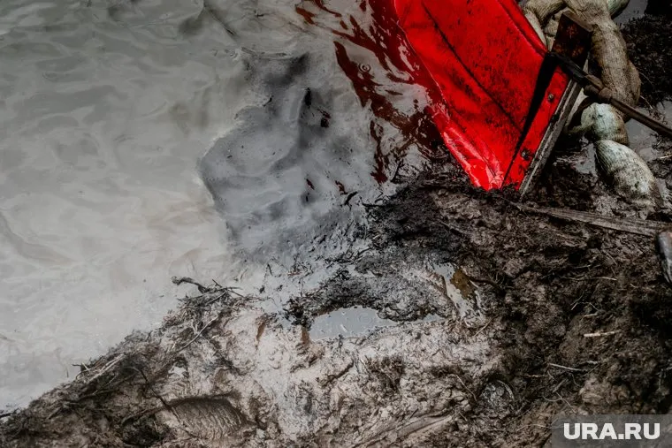 Общая площадь загрязненных почв в поселке Пуровске составила почти две тысячи кв.м.