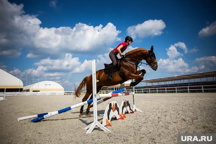 В клубе можно обучиться конной езде